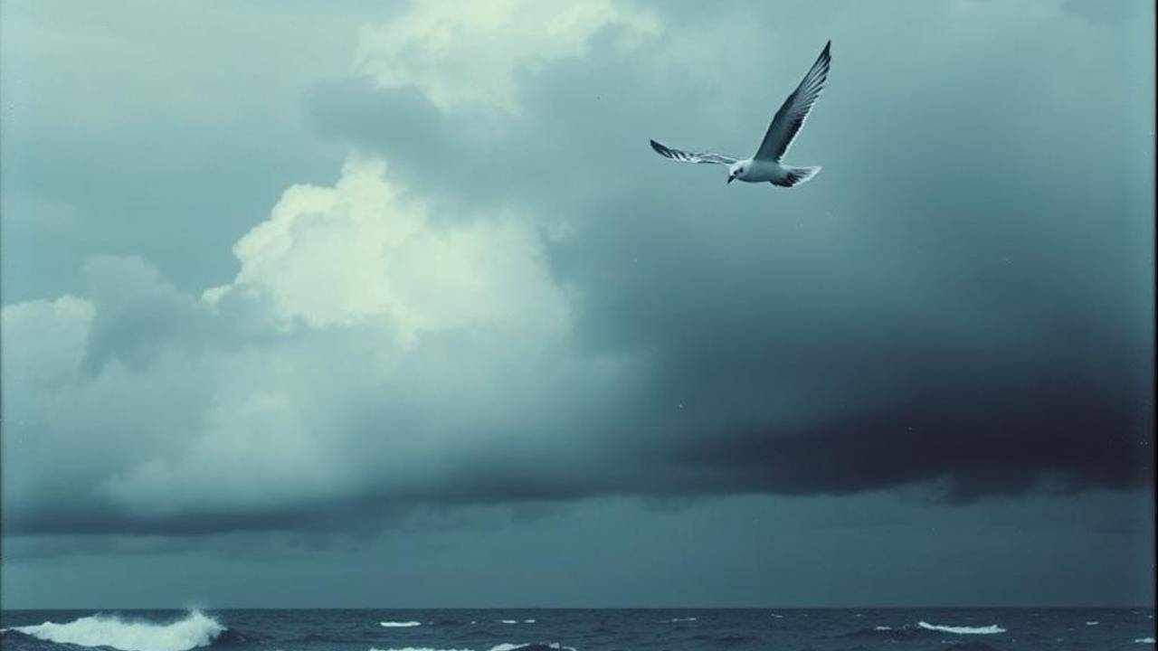 Сяду в троллейбус Б   -   Take The _B_ Trolleybus