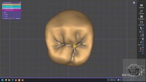 Морфология