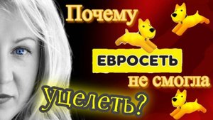 Почему Евросеть не смогла уцелеть?