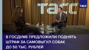 В Госдуме предложили поднять штраф за самовыгул собак до 50 тыс. рублей