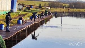 05.11.25. Ловля форели на VIP зоне.