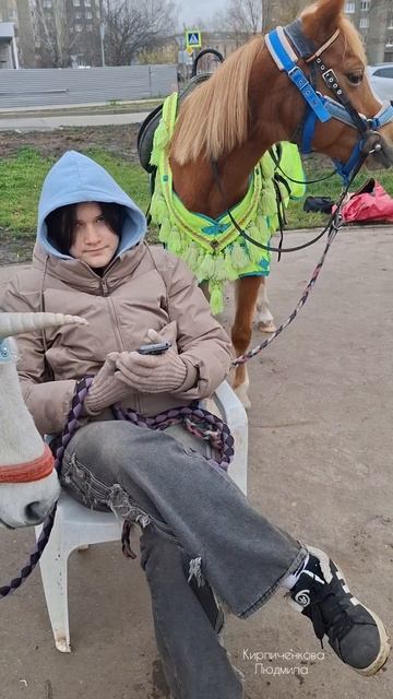 Две лошадки скучают у парка смотреть онлайн