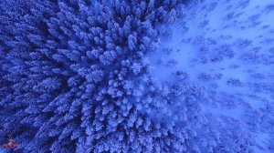 Свет приглушён, но воздух кажется густым (1)