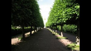 Петергоф Верхний парк  22 июля 2009