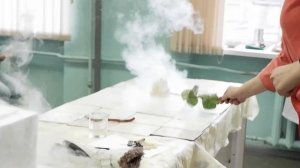 Фестиваль «Наука 0+» в  Высшей школе технологии и энергетики СПбГУПТД