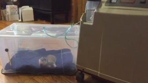 У нас новое оборудование