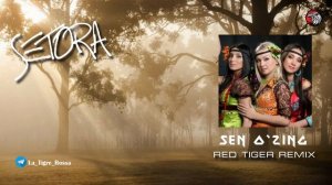 Setora - Sen O'zing ( Red Tiger remix ) 2025