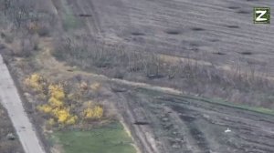 СВО ВСУ массово покидают позиции вблизи  Покровска.