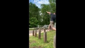 смешные видео с озвучкой на русском