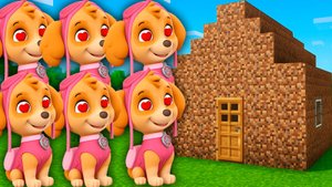 Я ПОСТРОИЛ ДОМ 1000 ВЛЮБЛЕННЫМ СКАЙ ЩЕНЯЧИЙ ПАТРУЛЬ В МАЙНКРАФТЕ