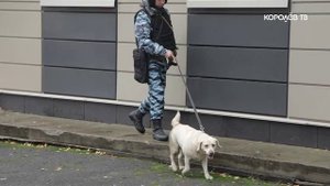 Высокая готовность: учения по гражданской обороне прошли на базе МЦК - Техникума имени Королёва