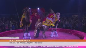 В Саранск приехал цирк «Феникс»
