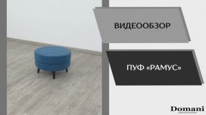 Видео обзор. Пуф Рамус.
