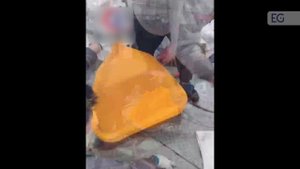 Термопластавтомат ротационного формования