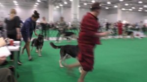 Сравнение на ЛЮ и ЛПП