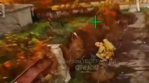 Сокращение поголовья ВСУ в Купянске