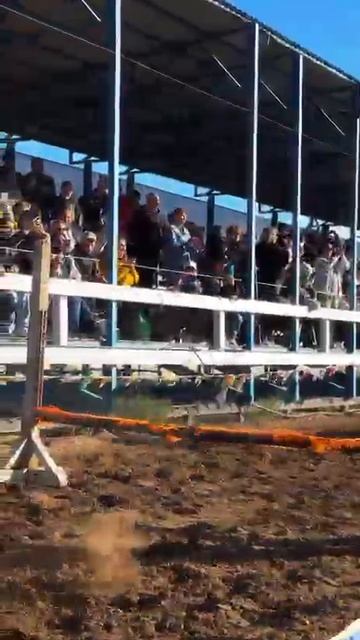 05-11-2025 смотреть онлайн