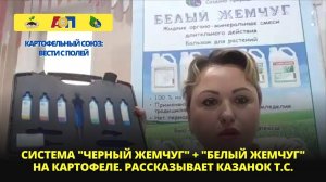 Вести с полей Картофельный союз. Интервью Казанок Т.С., зам. гендиректора ООО ГК АгроПлюс