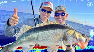 Нервы на ПРЕДЕЛЕ! ТРОФЕЙНЫЙ СУДАК с Александром Волынкиным! =)