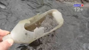 Выпуск от 31.10.2025