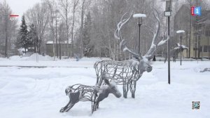 Дайджест новостей от 05.11.2025