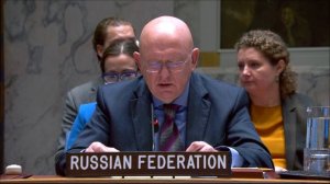 Выступление Постоянного представителя В.А.Небензи на заседании СБ ООН по ситуации в Абьее