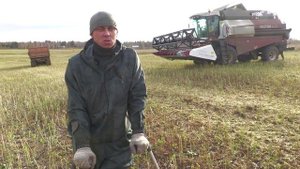 Родная сторона - Виктор Передреев