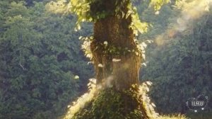 Увлекательные истории. душевные истории. Рассказы - Одно примирение в парке, которое изменило всё...