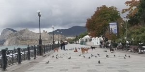 Просто поражает Судак в ноябре-2025! Отдых в осеннем Крыму, обстановка на побережье, пляжи курорта