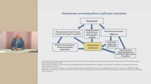 Лечение респираторных инфекций. Взгляд иммунолога