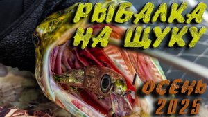 ЭТИ ВОБЛЕРА НЕ ДАЮТ ЩУКЕ ШАНСА! Ловля щуки на спиннинг осенью 2025