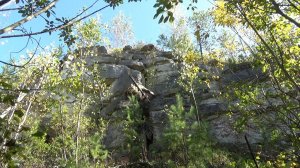 Инстинкт охотника!!!