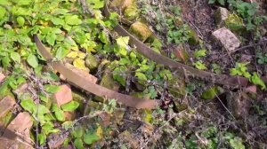 Письма из провинции. 6 ноября 2025