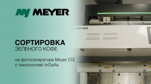 Сортировка зелёного кофе на фотосепараторе Meyer CG A с камерами InGaAs