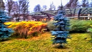 Заневский парк. Осеннее утро.