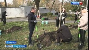 Более 700 молодых деревьев высадили в Ставрополе