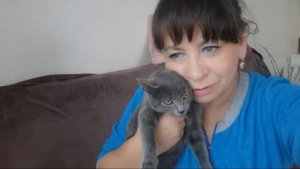 Пришла и осталась жить с нами. Строительство навеса. Творожная запеканка в мультиварке.