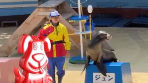 Морж тюлень и морская корова приглашают желейного Стасика нырнуть в аквариум [get.gt]