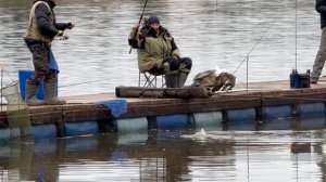 Поимки форели !!!