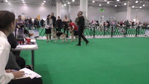 Расстановка класса ветеранов