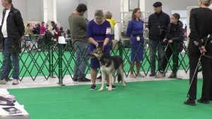 Калужский Витязь Нарния