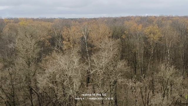 Москва, лесопарк Лосиный остров 🌳🌲🍂🏢🏢☁️ 01.11.2025 смотреть онлайн