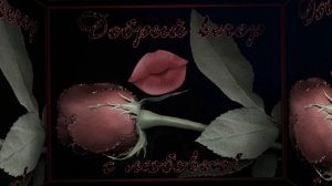 Добрый вечер ❤️