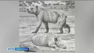 Уракан Борисяка: на Ставрополье найдены останки гигантского медведя