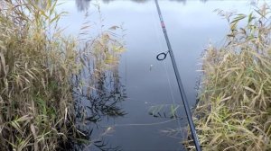 РЫБАЛКА В НАЧАЛЕ НОЯБРЯ.