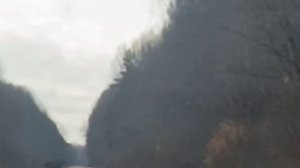 Лось на монастырской дороге