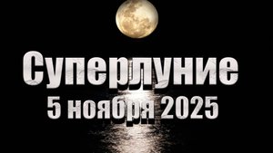 НОВОЛУНИЕ 5 НОЯБРЯ 2025: ШАНС НА ПЕРЕЗАГРУЗКУ!