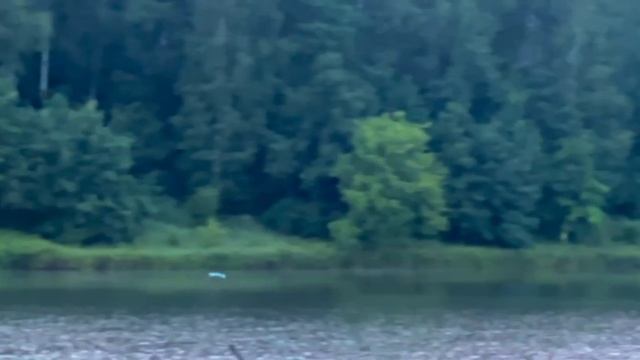 Цапля#Озеро#Ульяновск