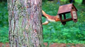 ПРАВДУ НЕ ДОКАЗЫВАЮТ