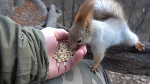 Толстая и Белка с хвостиком. Зарисовка